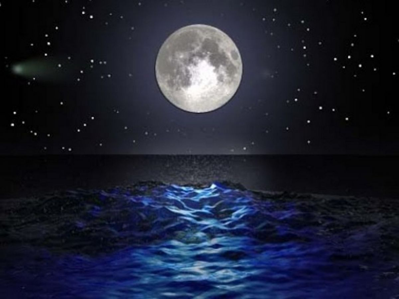 Колебание лунной орбиты стали причиной участившихся наводнений на Земле