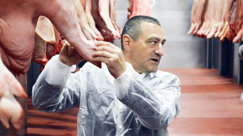 «Будет много крови». Депутат Госдумы от «Единой России» торжественно открыл скотобойню