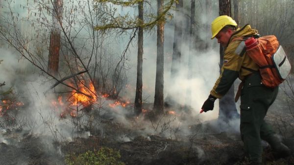 Лесные пожары в Якутии: "Гринпис" не ждет улучшения ситуации до середины августа