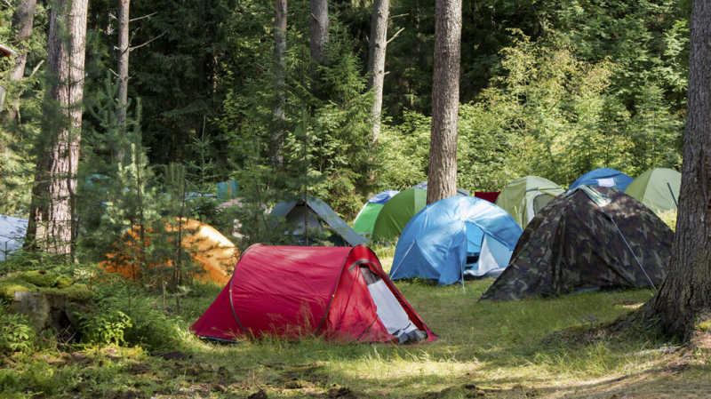 Глава района под Новосибирском назвал стрельбу юнармейцев в детском лагере «шалостью»