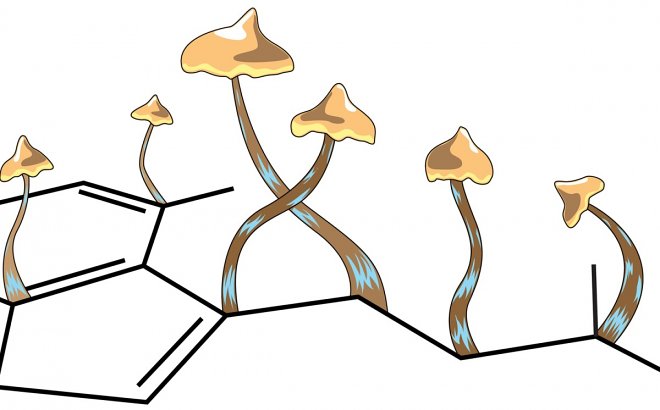 Исследование показало, что даже единичная доза псилоцибина провоцирует бурный рост нейронных связей