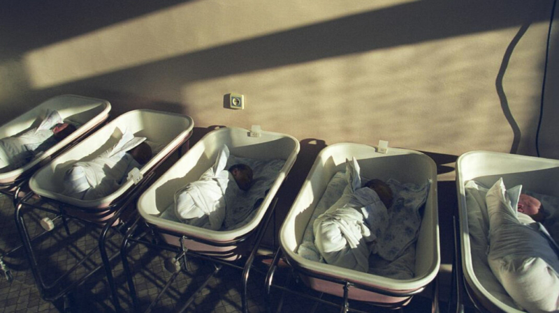 Московского врача заподозрили в торговле детьми от суррогатных матерей. Дело завели в прошлом году