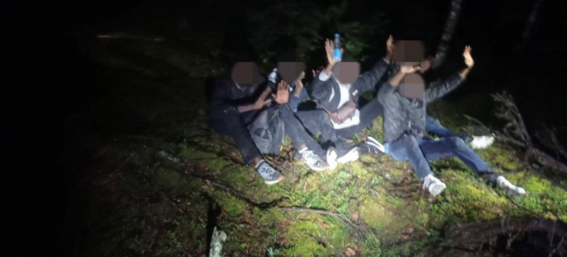 "Мы не можем прогнозировать, что Лукашенко придумает еще". Для чего Литве стена на границе с Беларусью