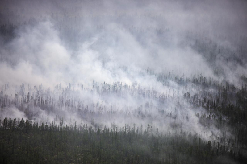 "Мы просто смотрим, как сгорает наше достояние". Горящая Якутия просит Кремль помочь ей потушить лесные пожары