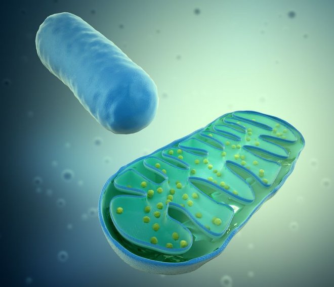 На военных США испытают препарат для замедления старения 