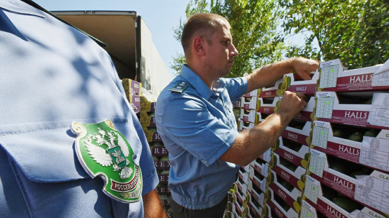 Россияне стали хуже относиться к введённому Путиным продуктовому эмбарго