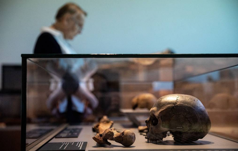 Теорию об отсутствии различий в соотношении длин пальцев мужчин и женщин опровергли