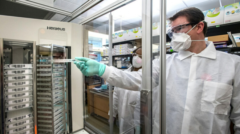 ВОЗ признала существование «российского штамма» коронавируса и начала за ним следить