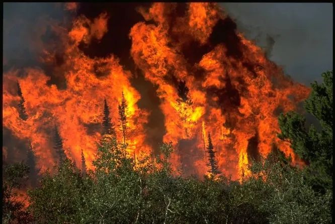 10 катастрофических последствий остановки планеты