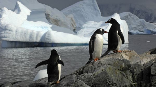 Жаркое лето-2021 от Сахалина до Антарктиды. Июль побил почти все температурные рекорды