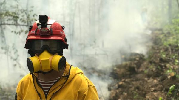 Сезон лесных пожаров в России: новые режимы ЧС, правительству предложили привлечь военных