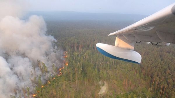 Сезон лесных пожаров в России: новые режимы ЧС, правительству предложили привлечь военных