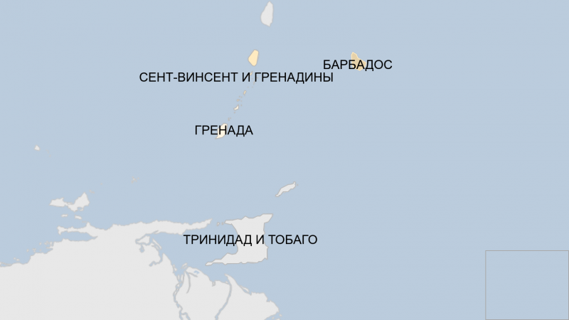 Премьеру Сент-Винсента и Гренадин разбили голову противники обязательной вакцинации
