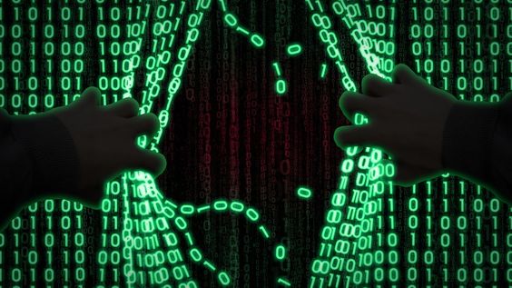 Детеныши млекопитающих видят во сне мир, в который они попадут после рождения