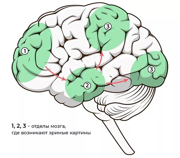 Люди без фантазии. Ученые обнаружили необычную особенность мозга