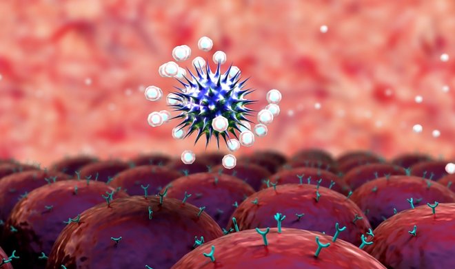 Набор антител AstraZeneca спасет от ковида тех, кого нельзя вакцинировать