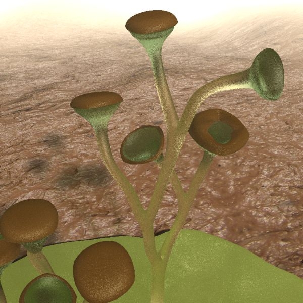 Первые наземные растения произошли от пресноводных водорослей