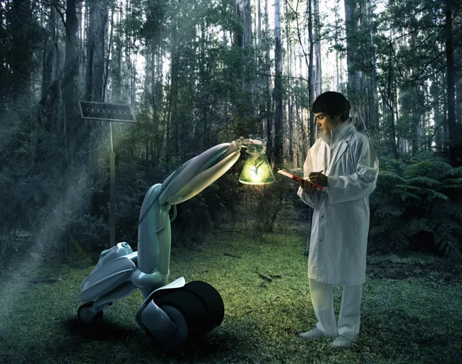 Зеленый «интернет»: как растения общаются друг с другом в тайне от нас