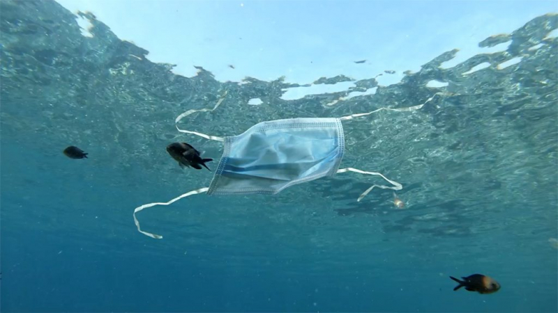 Дайджест: в Париже начинается суд по "Батаклану"; ЕС хочет штрафовать Польшу каждый день; талибы объявили состав правительства