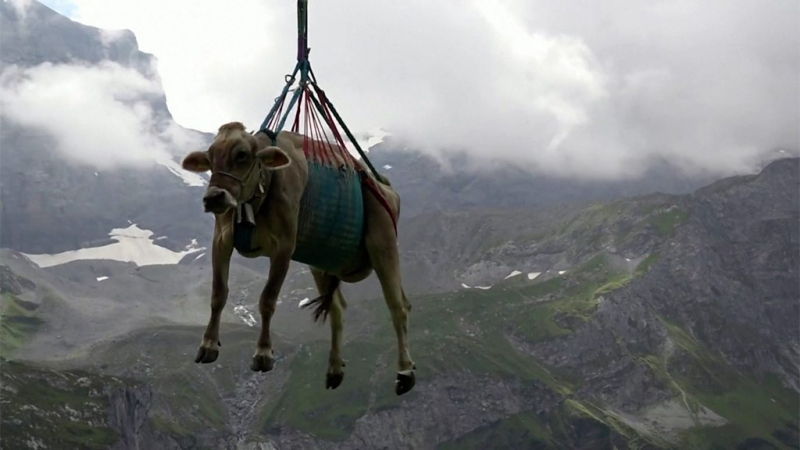 Дайджест: новая доктрина Байдена, Зеленский в Вашингтоне и Венецианский фестиваль
