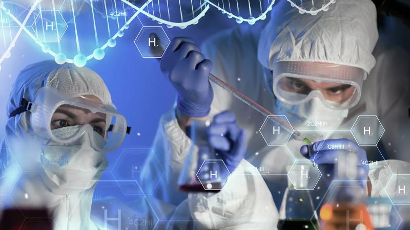 Ученые определили генетические отличия человека от других млекопитающих