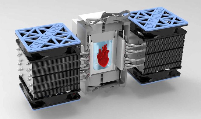 Ученые заставили рукотворное сердце биться после глубокой заморозки