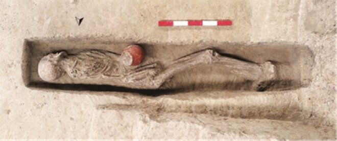 В древнем Китае варили пиво из риса еще 9000 лет назад