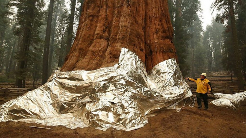 Дайджест: хакерские атаки и рост цен на газ - Лондон все увереннее указывает на Москву