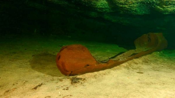 Рядом с Чичен-Ицей в Мексике обнаружили редкое каноэ индейцев майя. Ему 1000 лет и оно прекрасно сохранилось