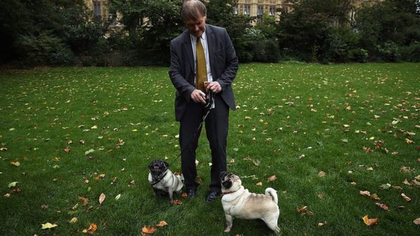 Убийство британского депутата: подозреваемый задержан по закону о терроризме