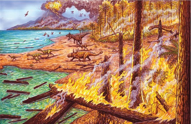 75 миллионов лет назад в Антарктиде бушевали пожары