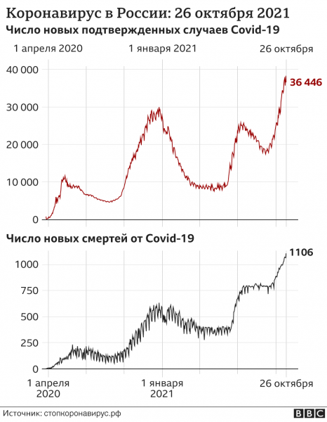 В России за сутки впервые умерло больше 1 100 пациентов с Covid-19