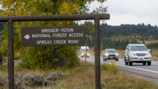 Вскрытие Габби Петито показало, что ее задушили