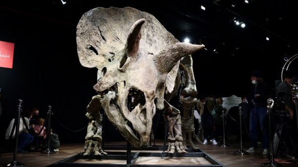 Дайджест: ВОЗ предупреждает, что пандемия коронавируса затянется до 2022 года