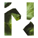 ЕСПЧ обязал РФ выплатить 45 тысяч евро матерям российских солдат, совершивших суицид в армии