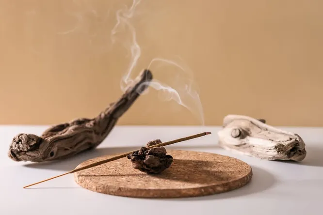 Сандаловое дерево находится под угрозой исчезновения