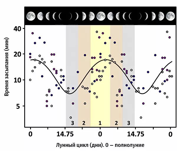 Ученые ищут загадочную силу, которая лишает сна