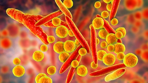 Ученые создали первое в мире «живое лекарство»