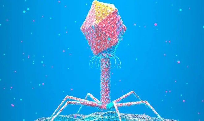 В природе существуют вирусы, которым мы должны быть благодарны за нашу эволюцию