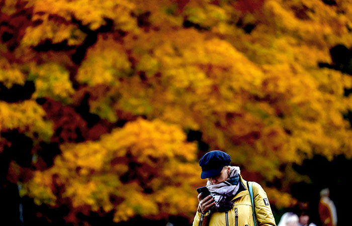 Вильфанд отказался называть грядущее потепление в Москве "бабьим летом"