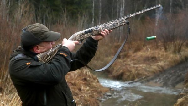 "Чукотка" из уток и расправа над зайцами: громкие скандалы с российскими чиновниками на охоте