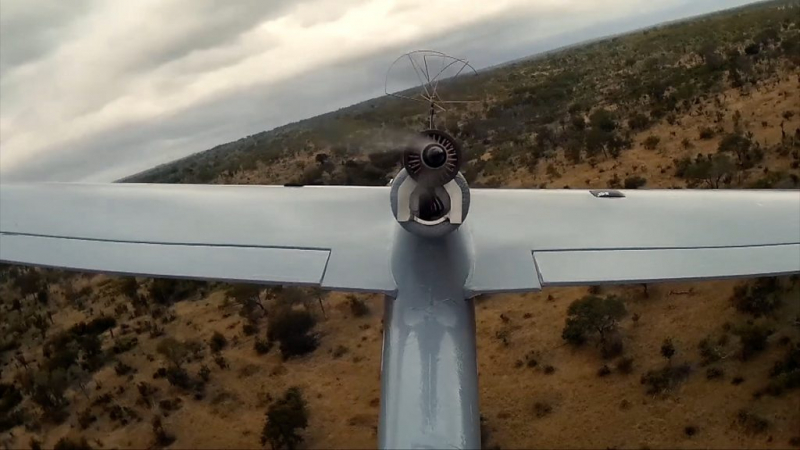 "Чукотка" из уток и расправа над зайцами: громкие скандалы с российскими чиновниками на охоте