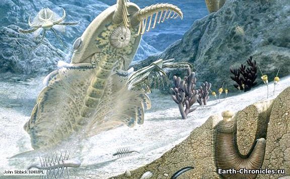 Крупный взрыв биоразнообразия в истории Земли был вызван не тем, чем думали ученые