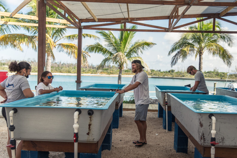Наш собственный космос: что мы узнали об океане за последние 10 лет