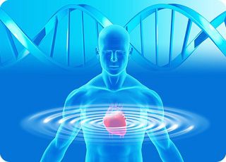 Наши электромагнитные поля необычным образом связаны со всеми живыми организмами