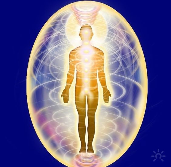 Наши электромагнитные поля необычным образом связаны со всеми живыми организмами