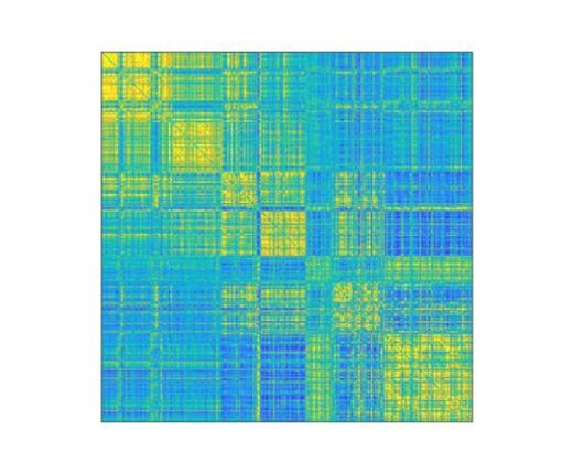 У каждого из нас есть уникальный отпечаток мозга, такой-же как "отпечатки пальцев"