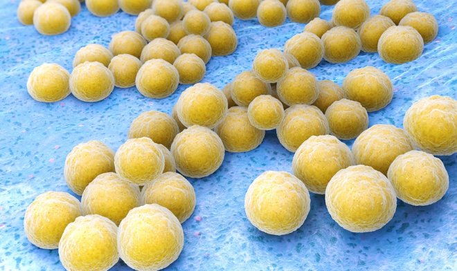 Ученые нашли в организме человека десятки новых видов естественных антибиотиков