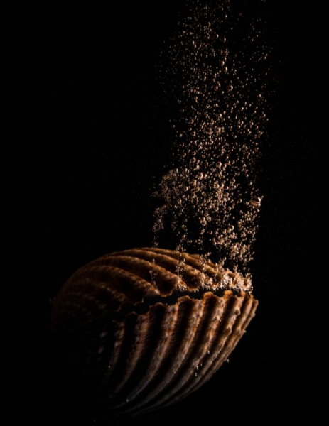 2021 год: лучшие фотографии читателей сайта Би-би-си в Британии