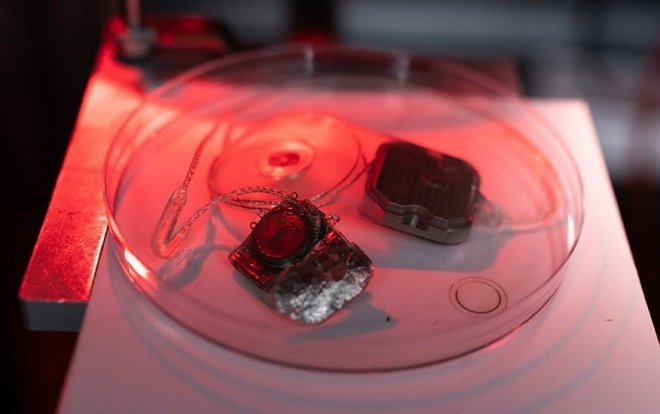 Бионический глаз Phoenix99 готов к испытаниям на людях